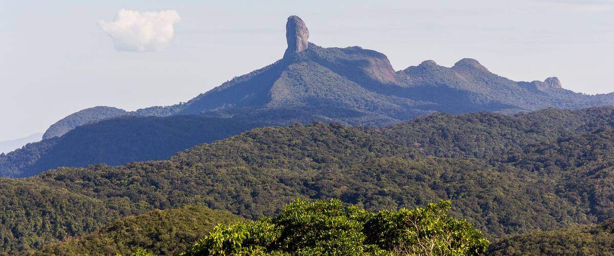 A mountain with a prominent rock formation in the center, surrounded by dense forest.