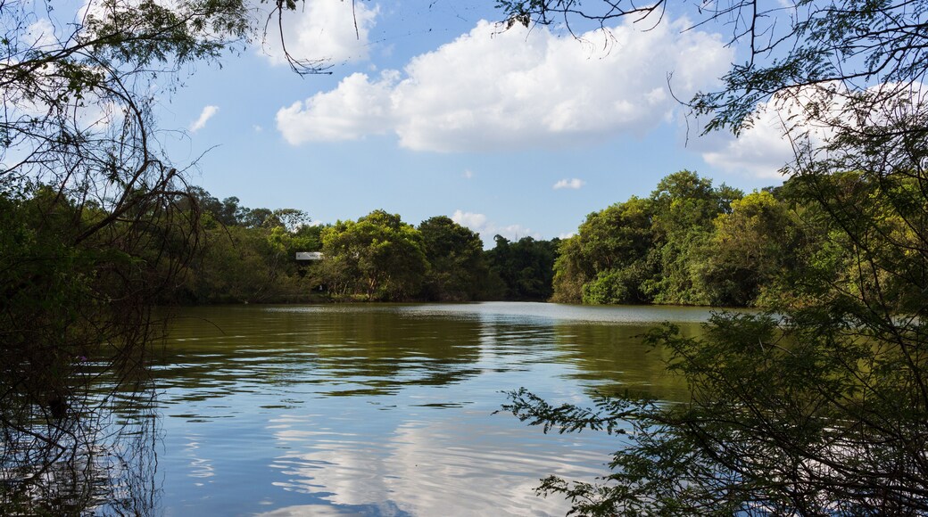 Lago emoldurado do Parque Ecológico do Tietê - SAO PAULO, SP, BRAZIL - APRIL 22, 2023: Lake framed by vegetation in the Tietê Ecological Park, Engenheiro Goularte leisure center.