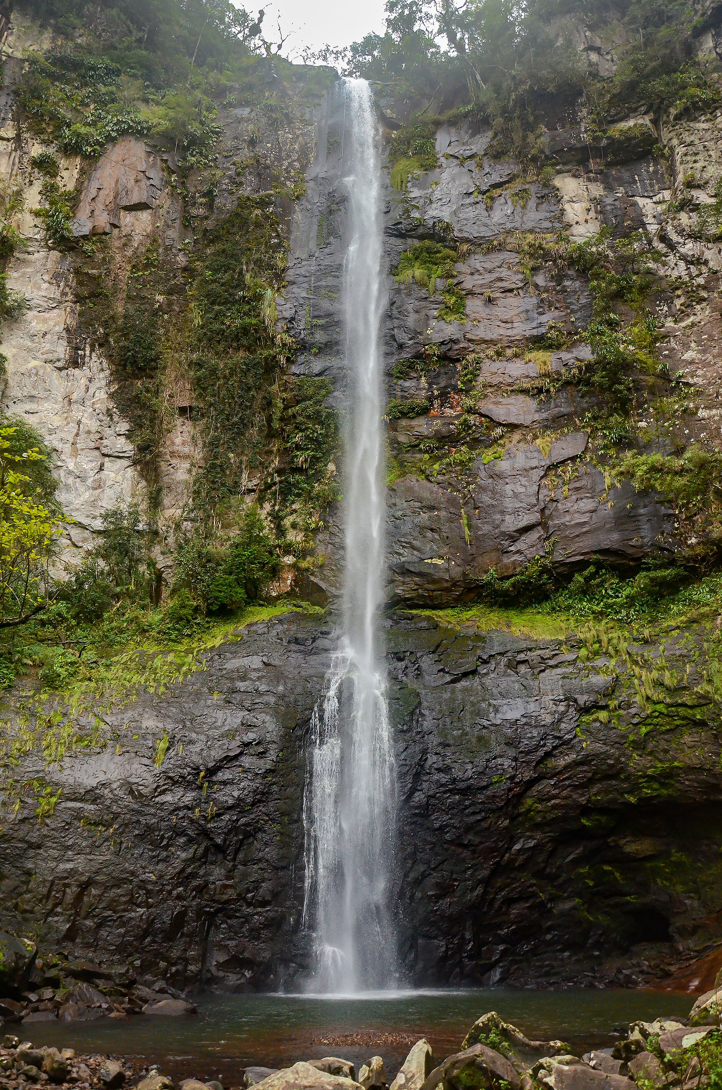 A tall waterfall cascading down a rocky cliff surrounded by lush greenery.
