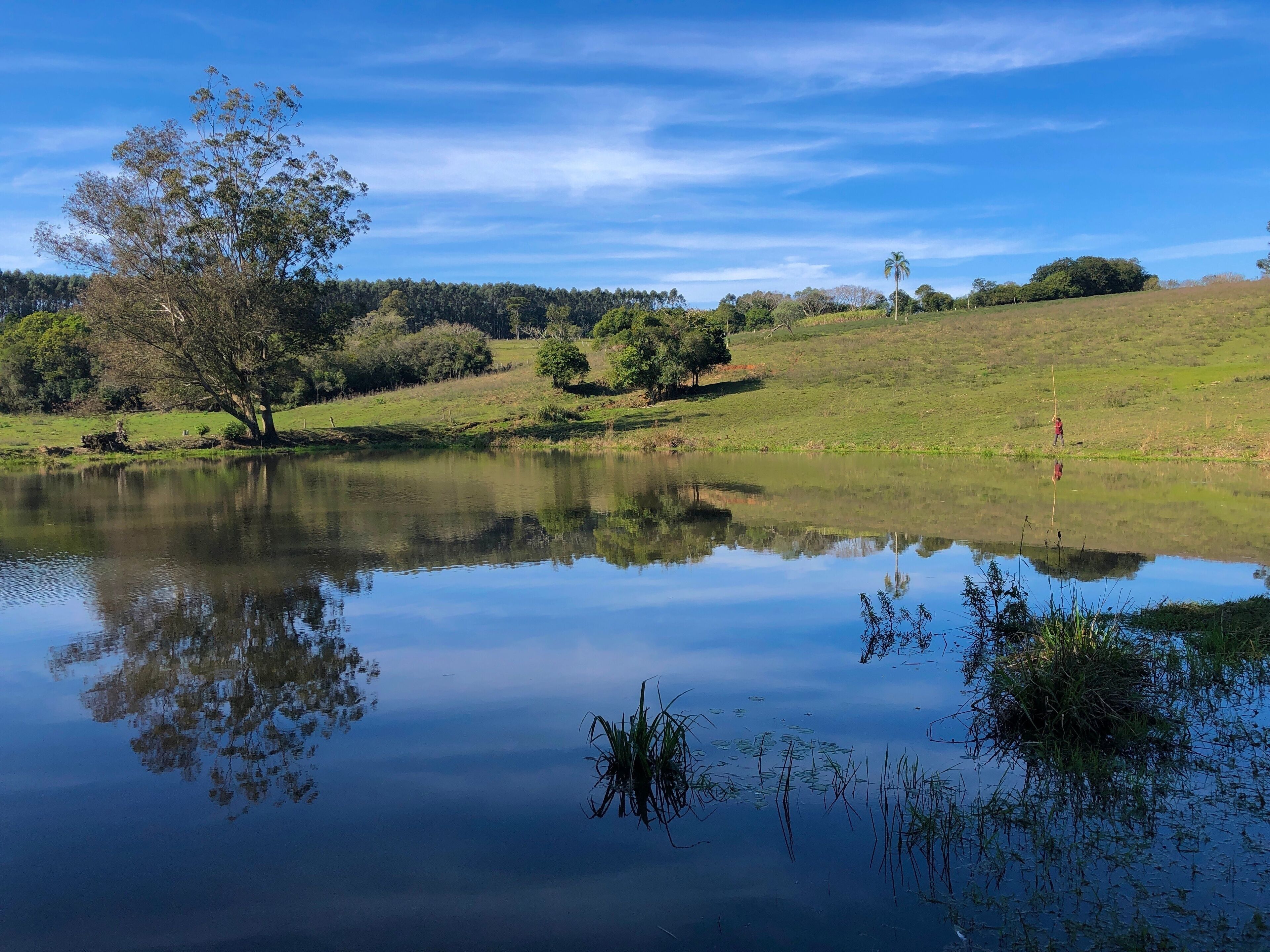 Reflection of trees in water (South of Brazil landscape - General Câmara, RS, Brazil)