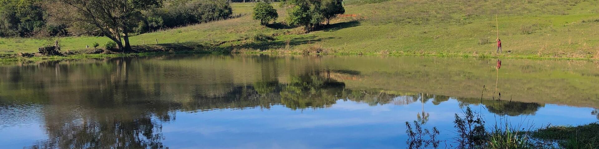 Reflection of trees in water (South of Brazil landscape - General Câmara, RS, Brazil)
