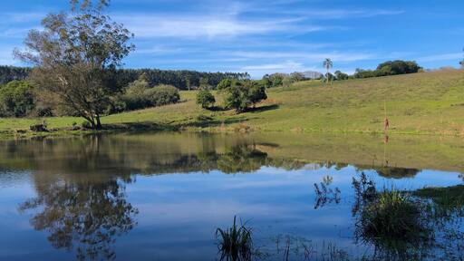 Reflection of trees in water (South of Brazil landscape - General Câmara, RS, Brazil)