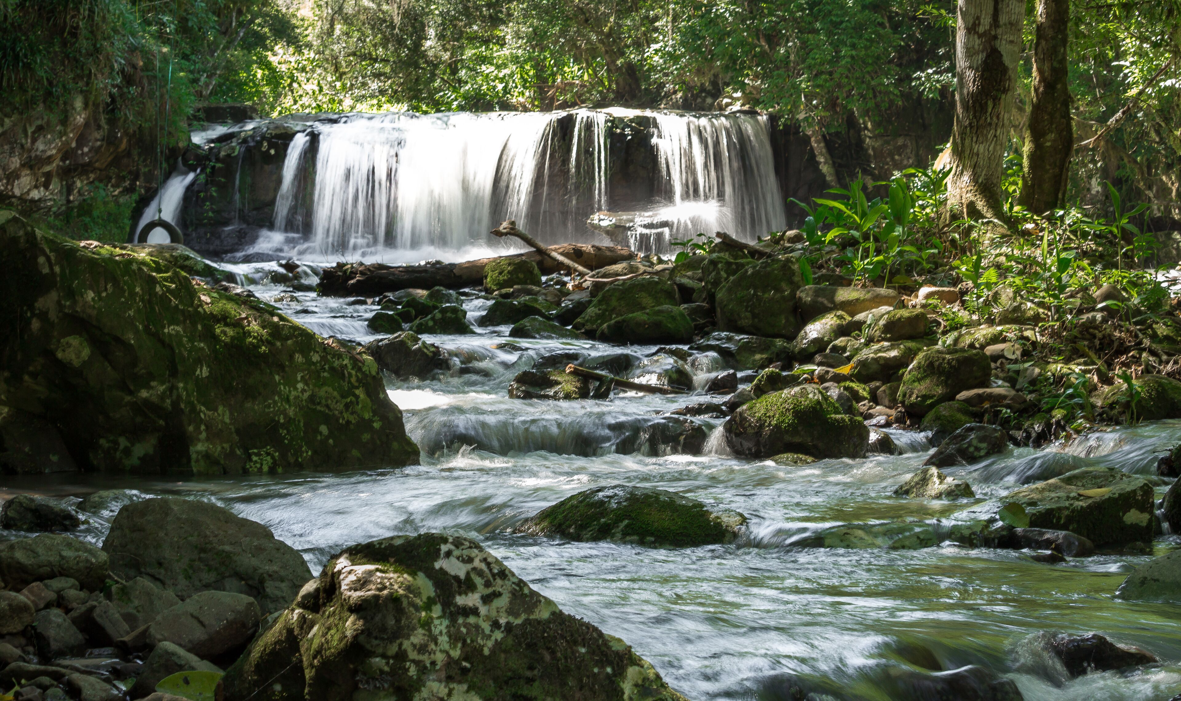 A waterfall cascading over rocks in a forested area.