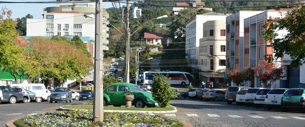 A city street with parked cars, a green vintage car, and a flower bed.