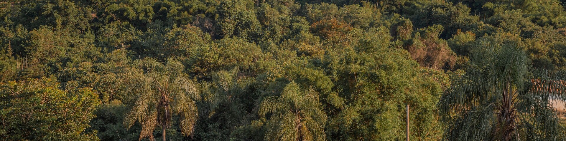 Bueno Brandão, Minas Gerais, Brasil: Casa simples na zona rural nas montanhas da Mantiqueira