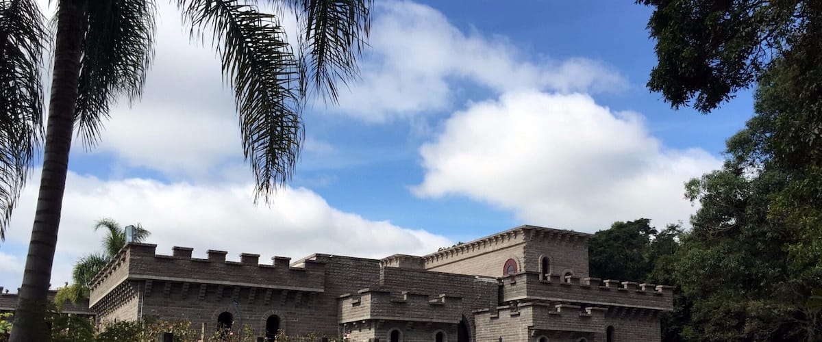 A medieval-style castle with a stone facade, arched windows, and battlements.