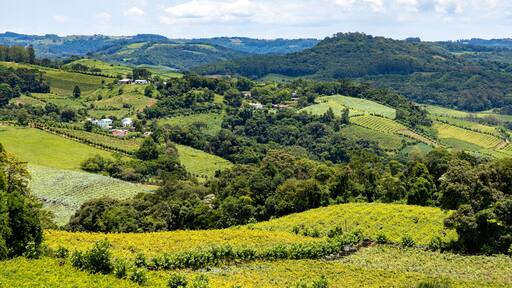 Vineyards in the valley