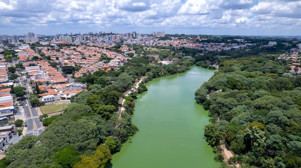 Aerial view of Taquaral park in Campinas, São Paulo. In the background, the neighborhood of Cambui.