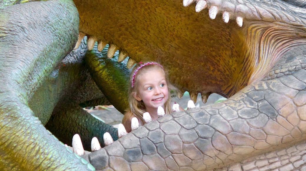 Australia Zoo which includes dangerous animals and zoo animals as well as an individual child