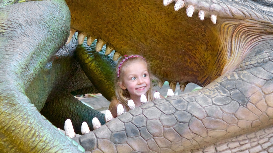 Australia Zoo featuring dangerous animals and zoo animals as well as an individual child