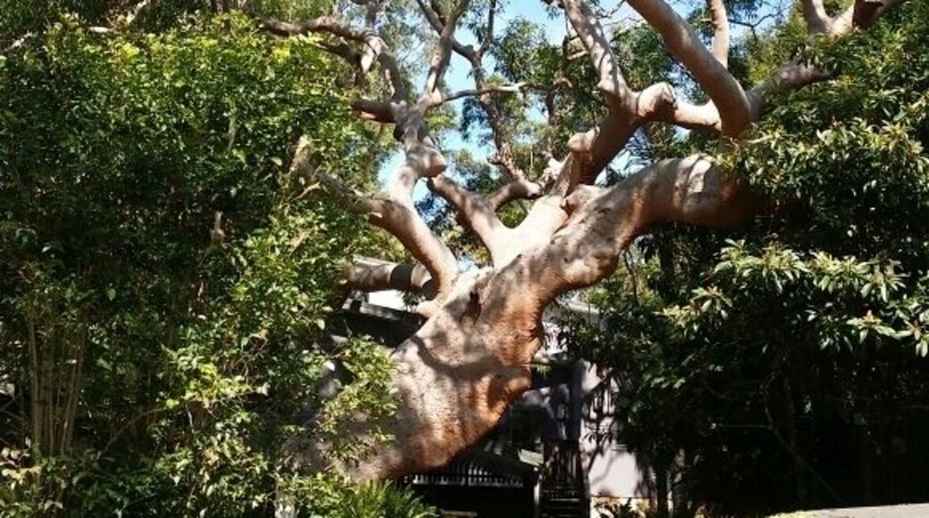 Nature at its finest