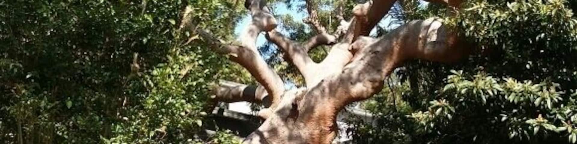 Nature at its finest