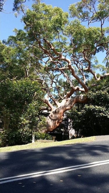 Nature at its finest