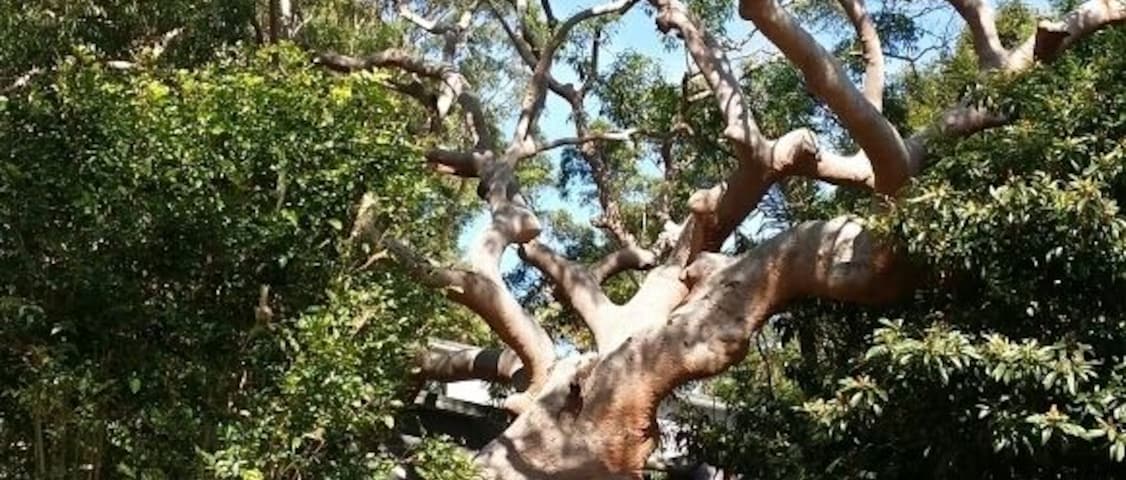 Nature at its finest