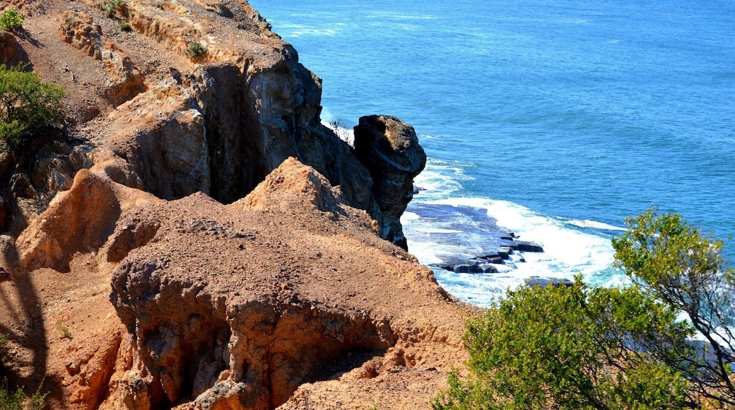 NEWCASTLE’S NEW ANZAC MEMORIAL WALK
A new addition to Newcastle is the Anzac Memorial Bridge along Memorial Drive. With stunning coastal views across the water and in the other direction the city, this is a walk worth doing.
#Newcastle#ANZACWalk#Memorial