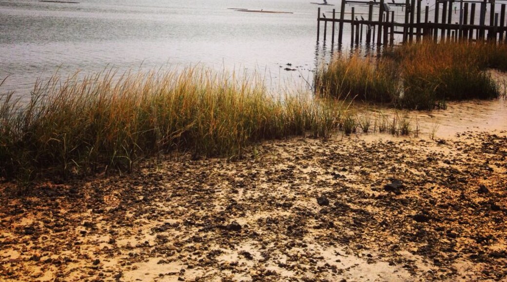 Great place to visit! No cellphone tower, so enjoy your time "off the grid." #waterlust