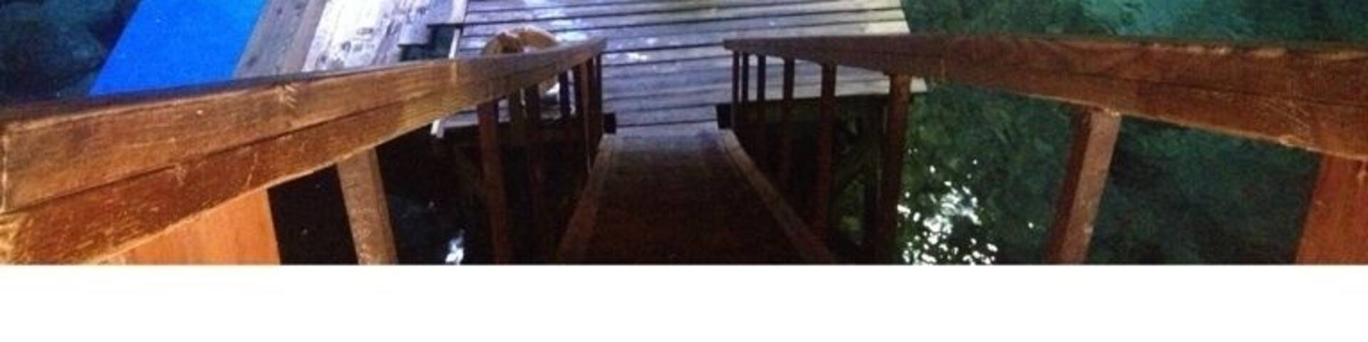 Devils den Williston fl. It's a sink hole that you can dive in. Depth is approx 60 feet deep.