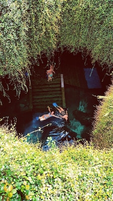 A person swimming in a natural pool surrounded by dense foliage.