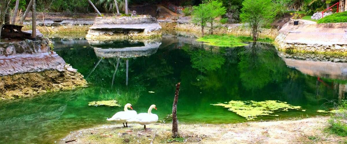 A wonderful place to relax and commune with nature #SpringFun