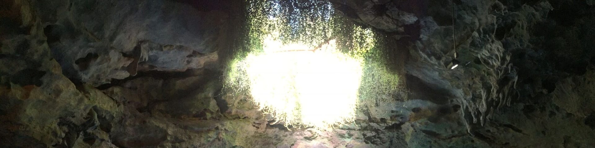 A view of the karst window from inside the Devil's Den Spring. The cave has an underwater spring that stays at 72 degrees year round. You can snorkel or scuba dive inside. So far this has been my favorite experience in Florida!