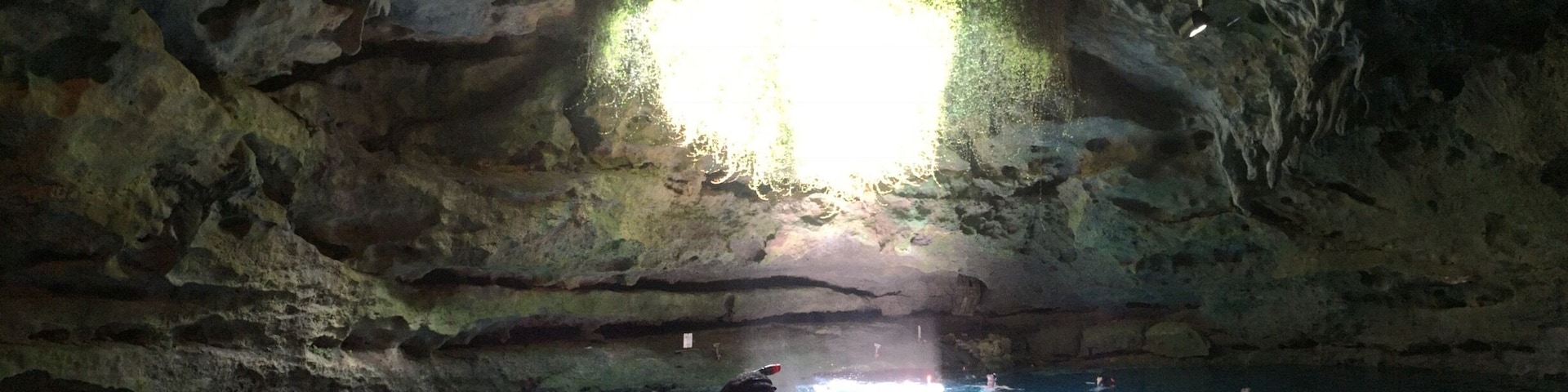 A view of the karst window from inside the Devil's Den Spring. The cave has an underwater spring that stays at 72 degrees year round. You can snorkel or scuba dive inside. So far this has been my favorite experience in Florida!