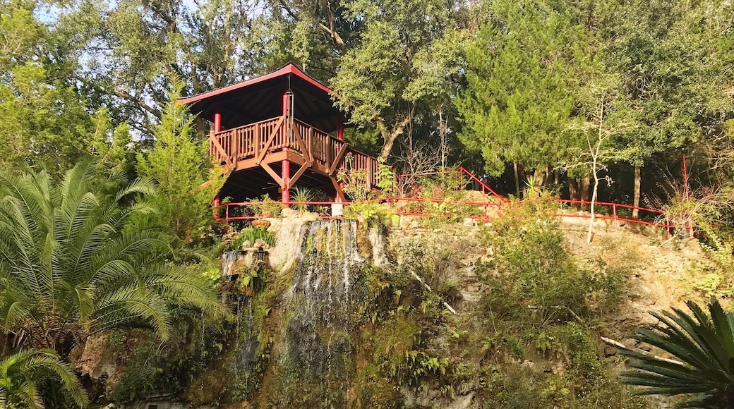 Beautiful manmade gardens. Lots of waterfalls, swan, koi fish, and even a 100 pound catfish. Staff is all super friendly and knowledgeable.