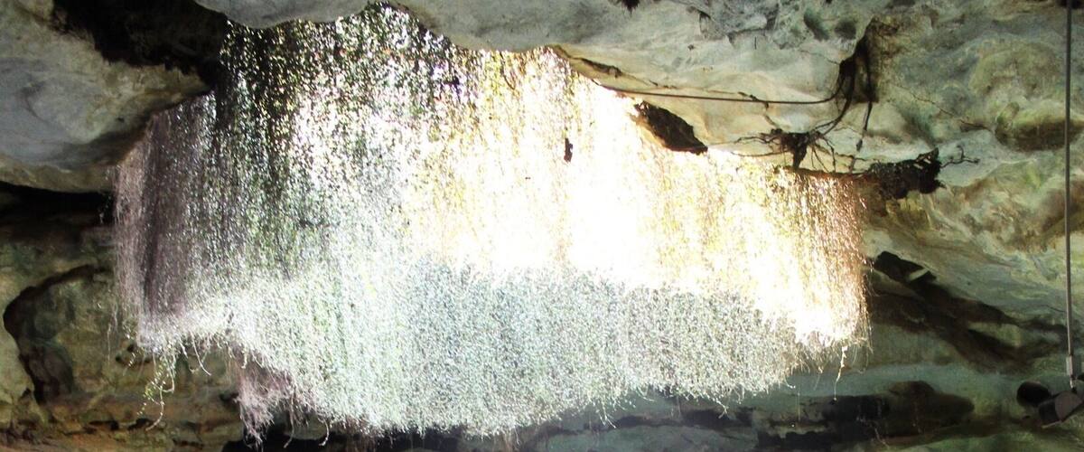 Beautiful Underground Spring located in Gainesville FL! awesome place to go snorkeling, scuba diving or just for some leisure swim time!