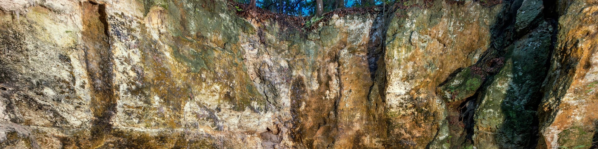 Jewel's Sink Illuminated at Night near Newberry, (Alachua County), Florida