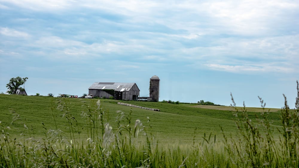 Barn and silo on a hill - summer