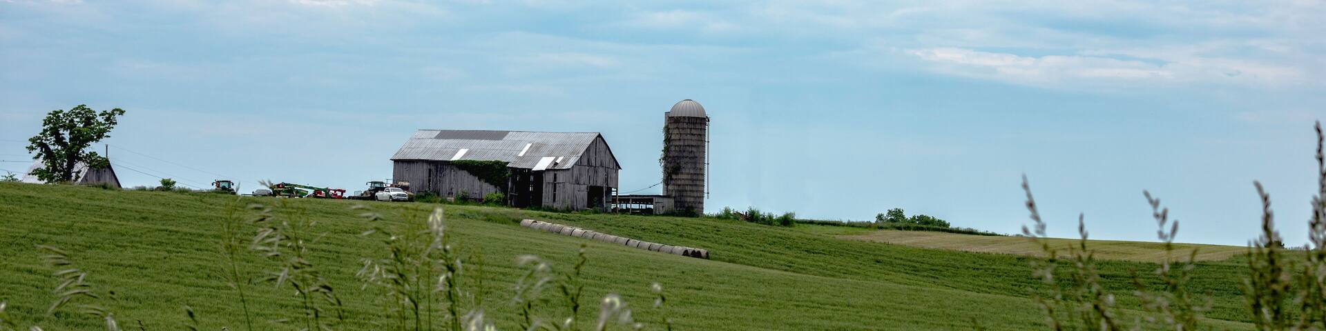 Barn and silo on a hill - summer