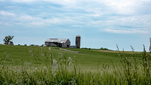 Barn and silo on a hill - summer