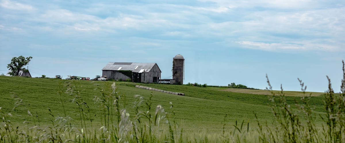 A rural landscape with a barn, silo, and rolling green fields.