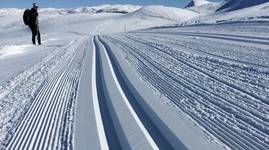 If you are a fan of Nordic skiing, also called cross country skiing, I would recommend the tracks in Filefjell. Beautiful scenery and great conditions made the day perfect. For those more interested in alpine, Filefjell is also the place to be with challenges in all categories. #lifeatexpedia #nordicskiing #filefjell #norway