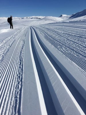 If you are a fan of Nordic skiing, also called cross country skiing, I would recommend the tracks in Filefjell. Beautiful scenery and great conditions made the day perfect. For those more interested in alpine, Filefjell is also the place to be with challenges in all categories. #lifeatexpedia #nordicskiing #filefjell #norway