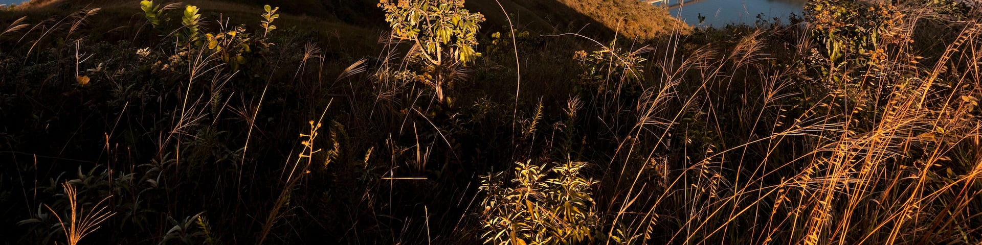 Paisagem visto da montanha do Lago de Furnas, Minas Gerais, Brasil