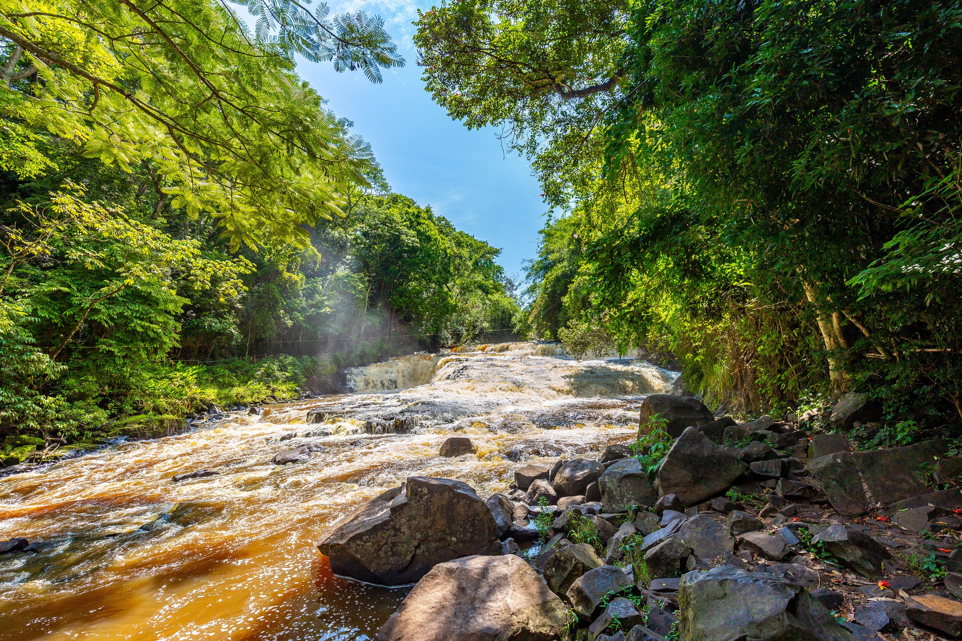 A river flowing through a forest with rocks and trees.