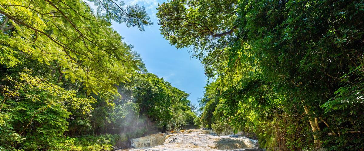 A river flowing through a forest with rocks and trees.