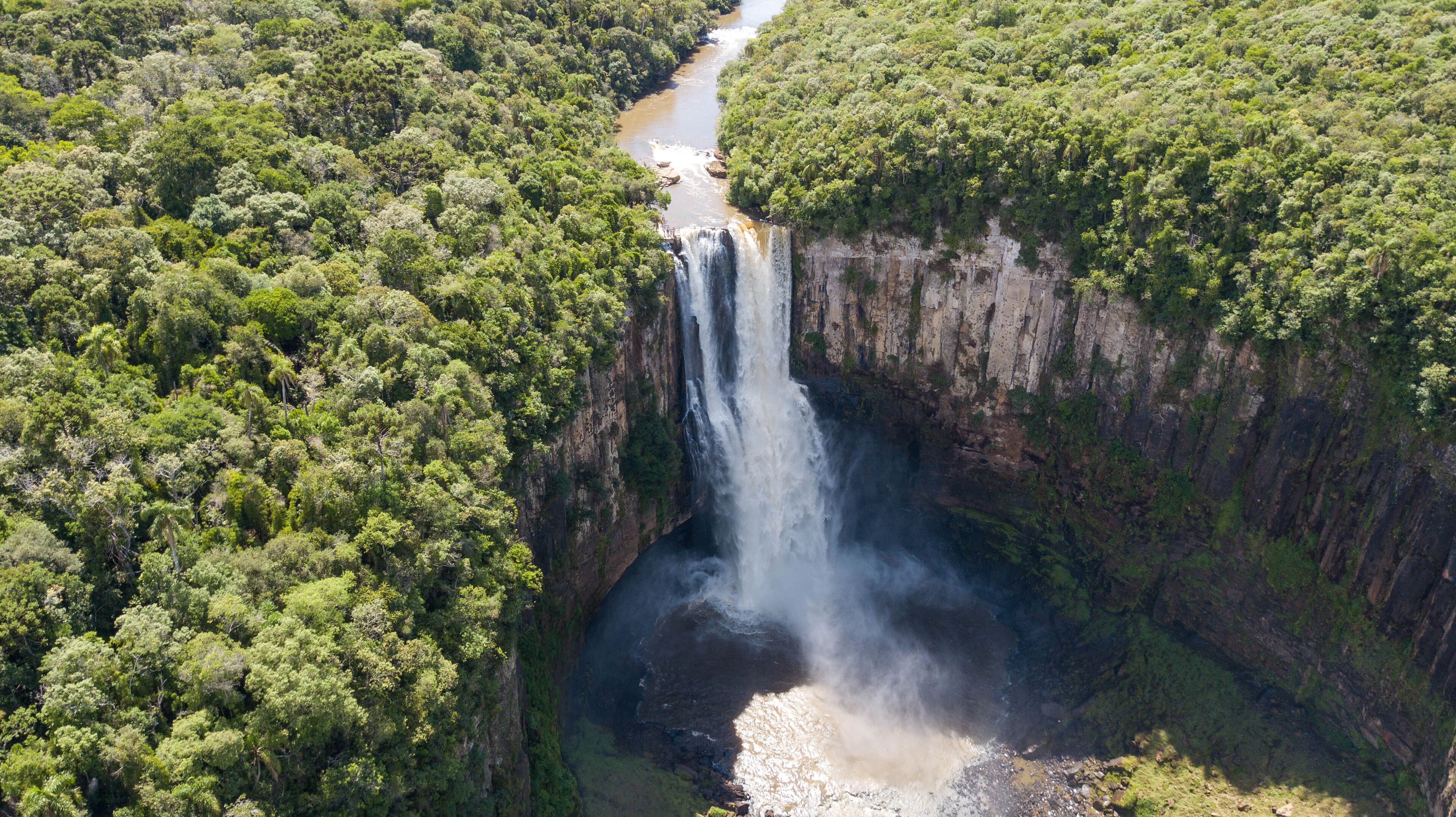 A waterfall cascading down a steep cliff surrounded by dense forest.