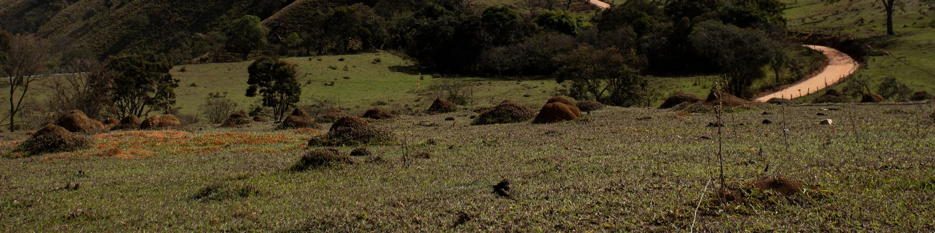 Estiva, Minas Gerais, Brasil: Estrada da Serra do Caçador na Mantiqueira, parte do caminho da fé