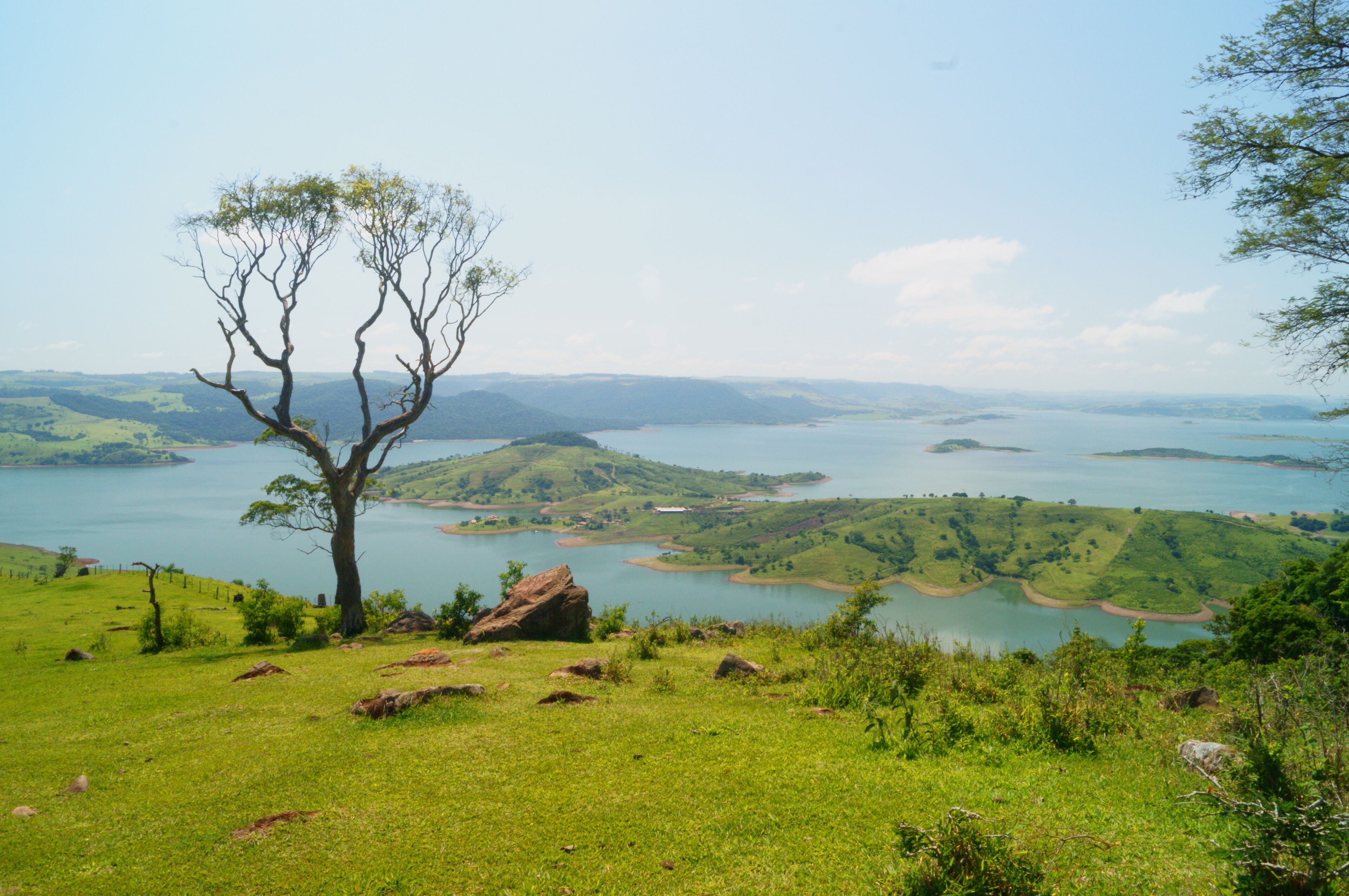 A tree on a grassy hill overlooking a lake with surrounding hills.
