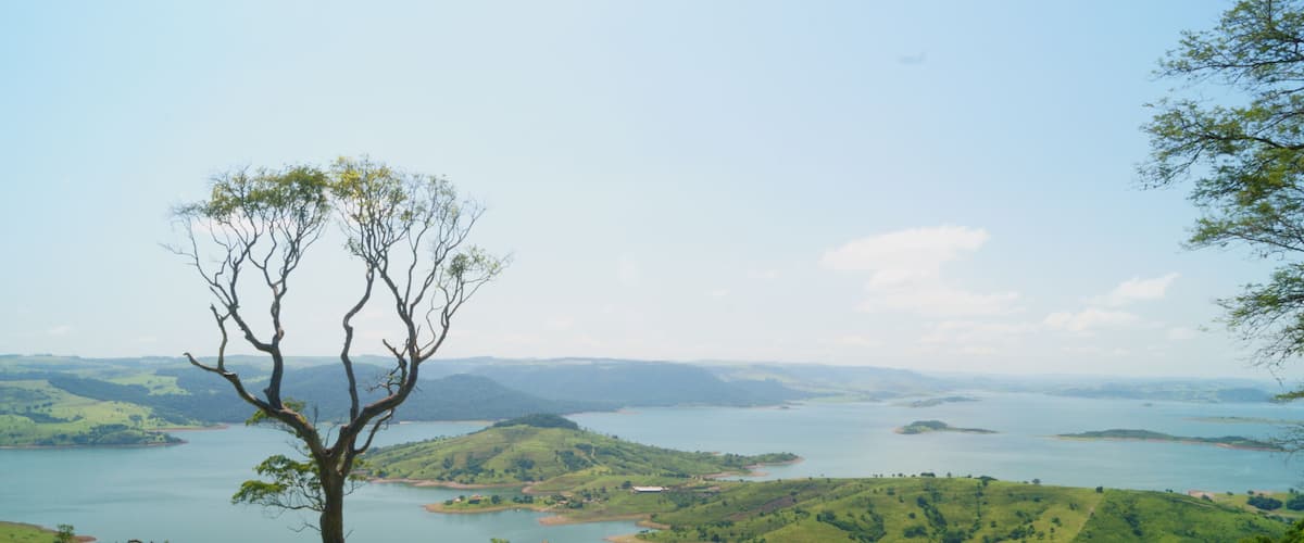 A tree on a grassy hill overlooking a lake with surrounding hills.
