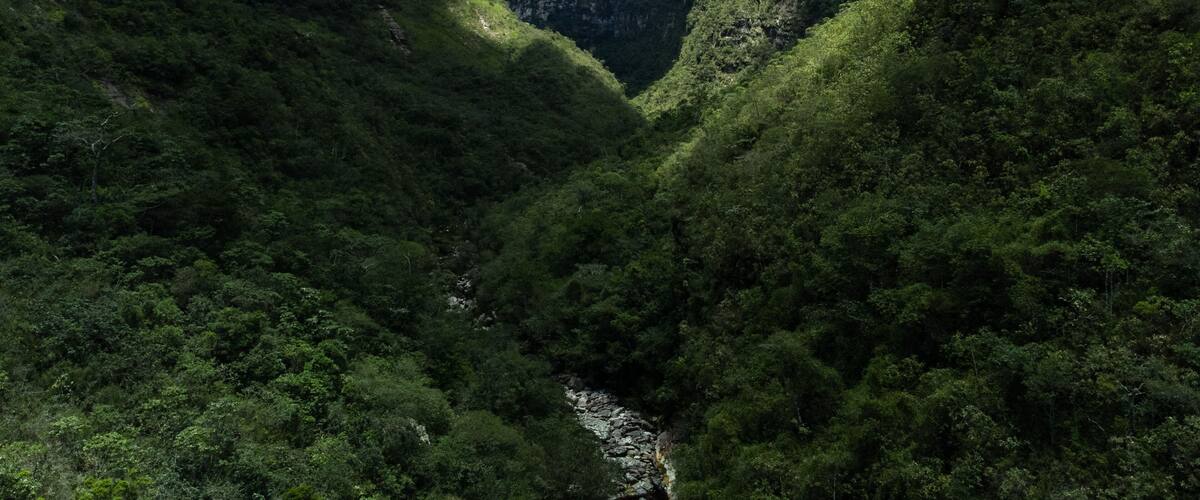 A canyon with a river running through it, surrounded by dense green vegetation and steep cliffs.