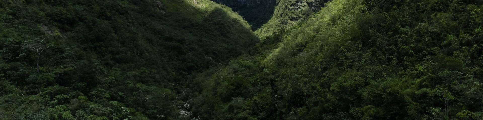 A canyon with a river running through it, surrounded by dense green vegetation and steep cliffs.
