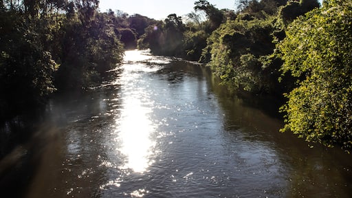Aguas de Santa Bárbara