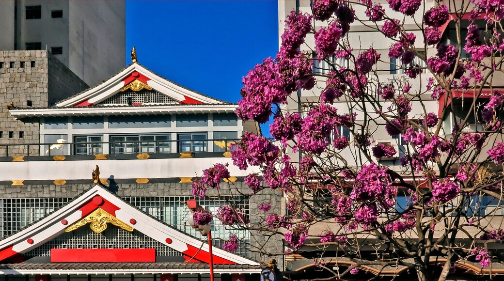 Arquitetura oriental de edificio japones. Bairro da Liberdade, Sao Paulo. Brasil