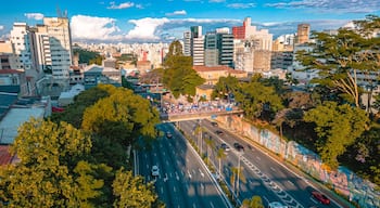 Bairro Liberdade Cidade São Paulo Paulista Sudeste Brasil Urbano Arte Grafite Pixo Igreja Avenida Rua Carros Turismo Turista Paulistano Viaduto Transporte Paisagem Urbana Aérea Drone Japão Japonês Céu