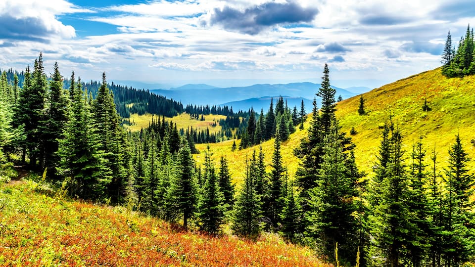 A mountainous landscape with dense evergreen forests and a clear sky.