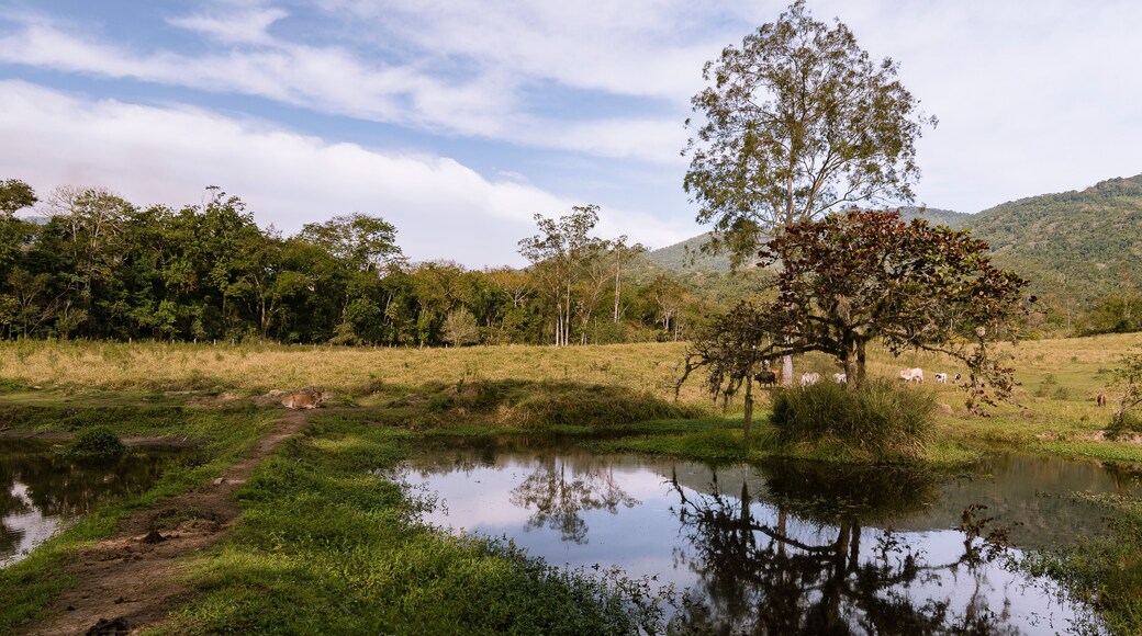 Natural landscape with lake, water mirror and blue sky in the farm field.