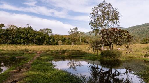 بيدرو دي توليدو