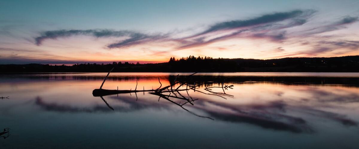 A calm lake at dusk with a sunset, a tree line in the distance, and a fallen tree in the water.